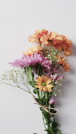vvertical video of bunch of yellow and pink flowers with copy space on white background