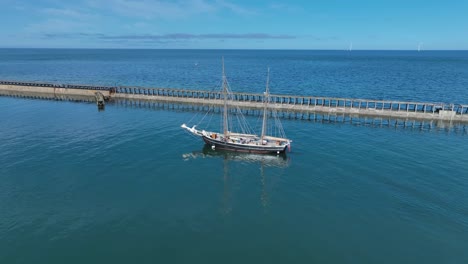 traditional tall ship sailing along harbour wall, with seabird flying