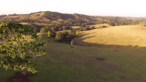 Drone-flyover-of-Bride-and-Groom-at-wedding