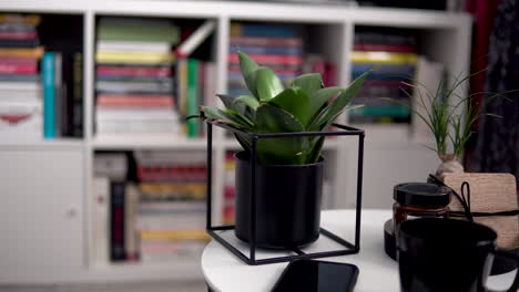 Teléfono,-Una-Taza-De-Café,-Planta-Casera-En-La-Mesa-Blanca-Sobre-Fondo-Borroso---Decoración-De-La-Habitación---Movimiento-Deslizante