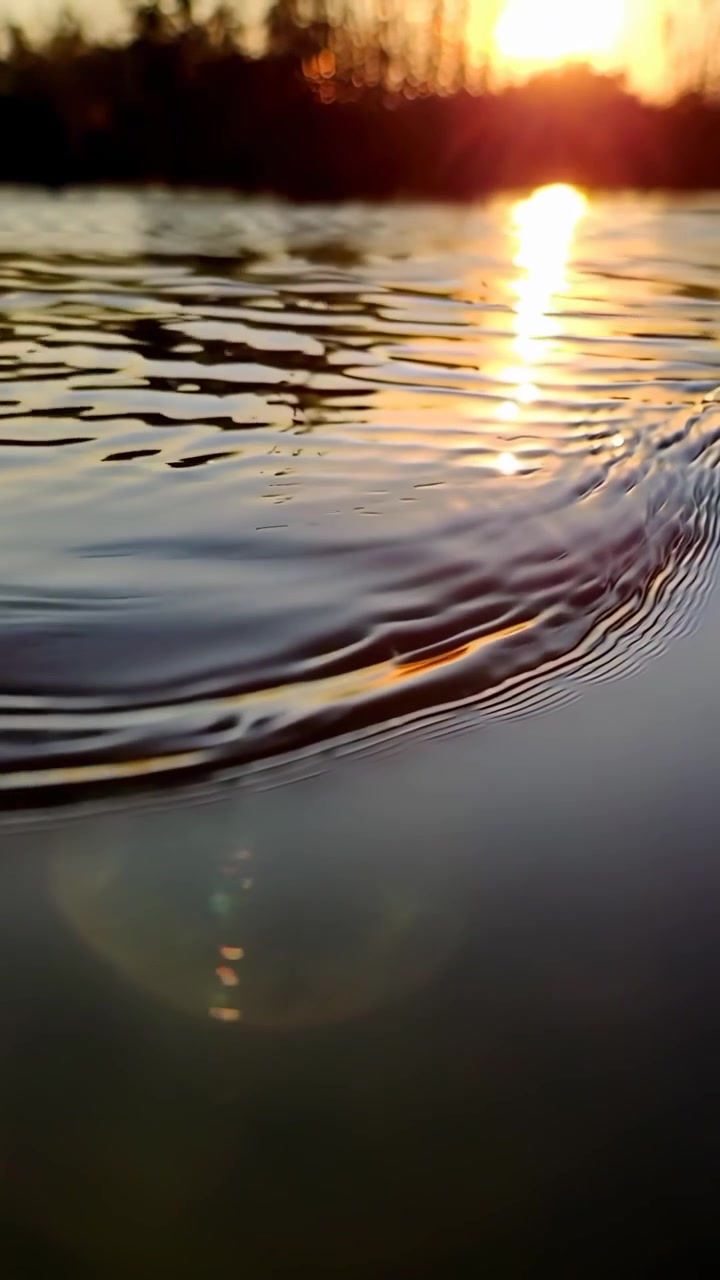 Golden Sunset Light Reflecting on Gentle Rippling Lake Water