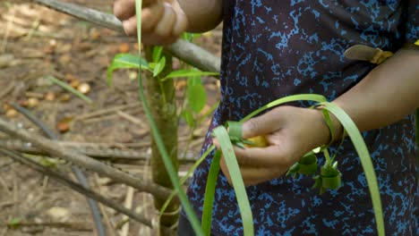 close up tanzania male hands making handmade decorative star woven from lemon grass leaves on the street