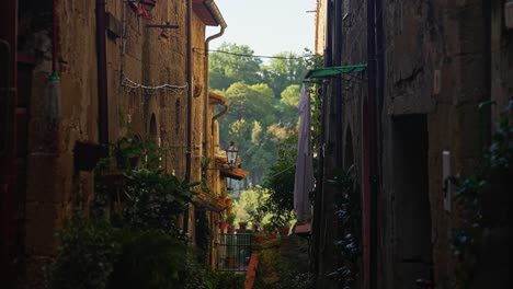 typical antique houses on the old town village of pitigliano in tuscany, italy