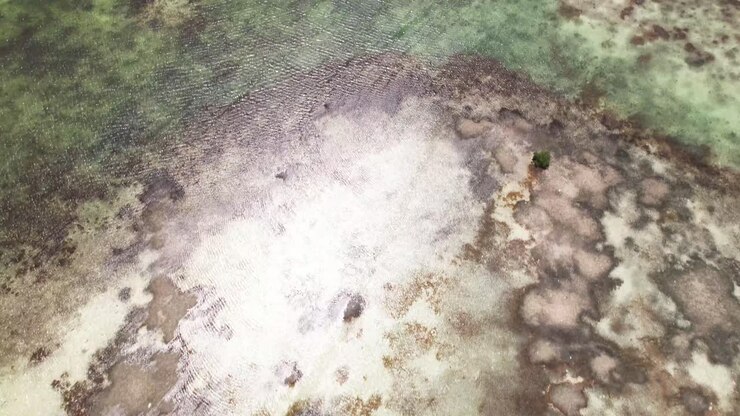 Movimento ravvicinato di inclinazione verso l'alto sulle zone umide testurizzate di Los Roques, Venezuela.