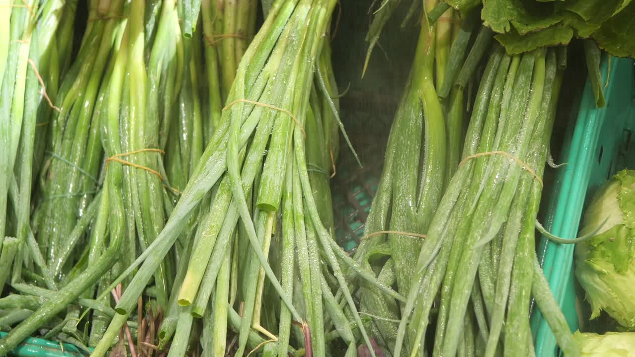 Fresh Green Onions at the Market