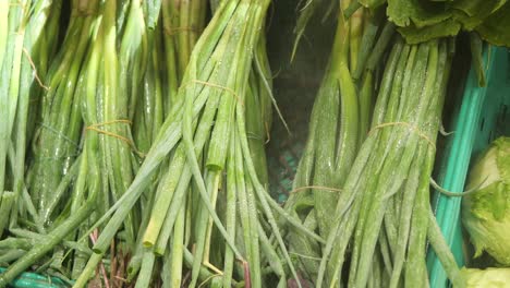 fresh green onions at the market