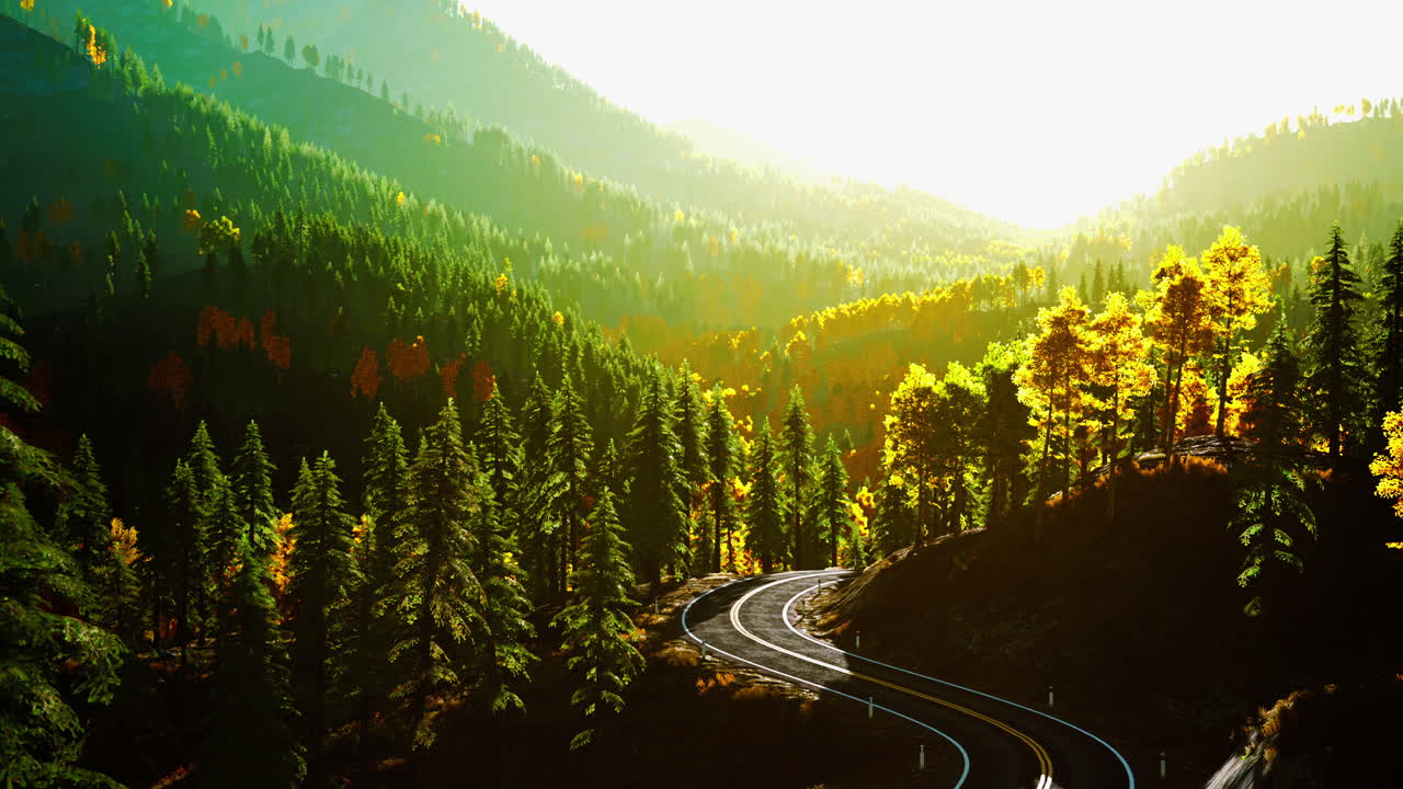 panorámico camino sinuoso a través del bosque de otoño