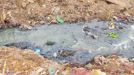 Perro-Hurgando-En-La-Basura-Junto-A-Un-Arroyo-Contaminado,-Destacando-Los-Problemas-Ambientales.