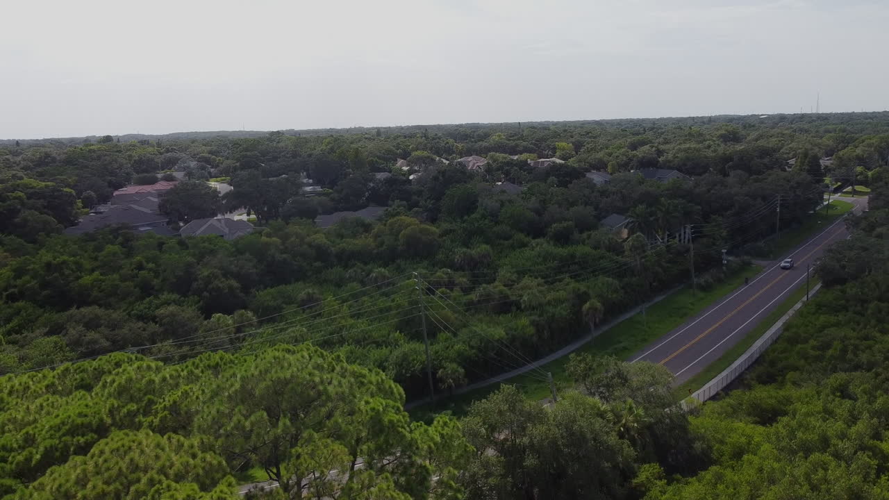 Area residenziale di Safety Harbor, appena a nord di Old Tampa Bay-5