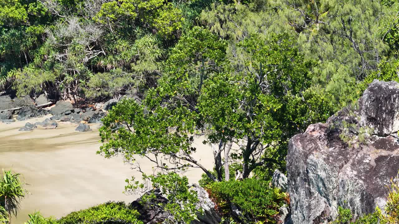 Drone footage captures lush greenery and sandy shores in Port Douglas, Australia. Bright daylight enhances the vibrant tropical landscape