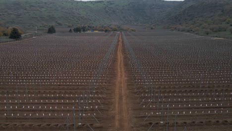 establishing shot pulling back aerial view of vineyard growing in valley, israel