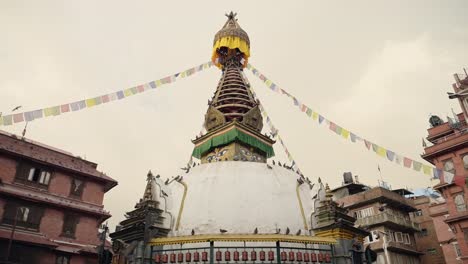 birds flying at sunset at temple in nepal in kathmandu, pigeons in flight at a famous buddhist temple building for buddhism in kathmandu, old historic buildings in kathmandu city centre