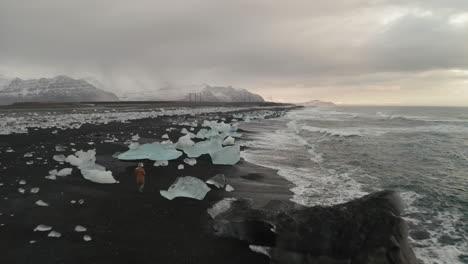 man walking at black sand diamond beach with huge icebergs washed ashore at south iceland