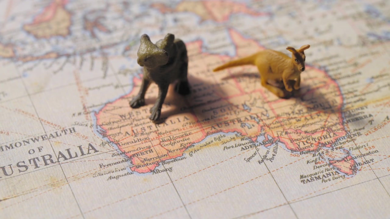 Mainan Hewan Australia Ditempatkan Secara Tidak Tepat di Peta Geografis, Beruang Koala di Pesisir Barat dan Kanguru di Pesisir Timur. Fokus Rak
