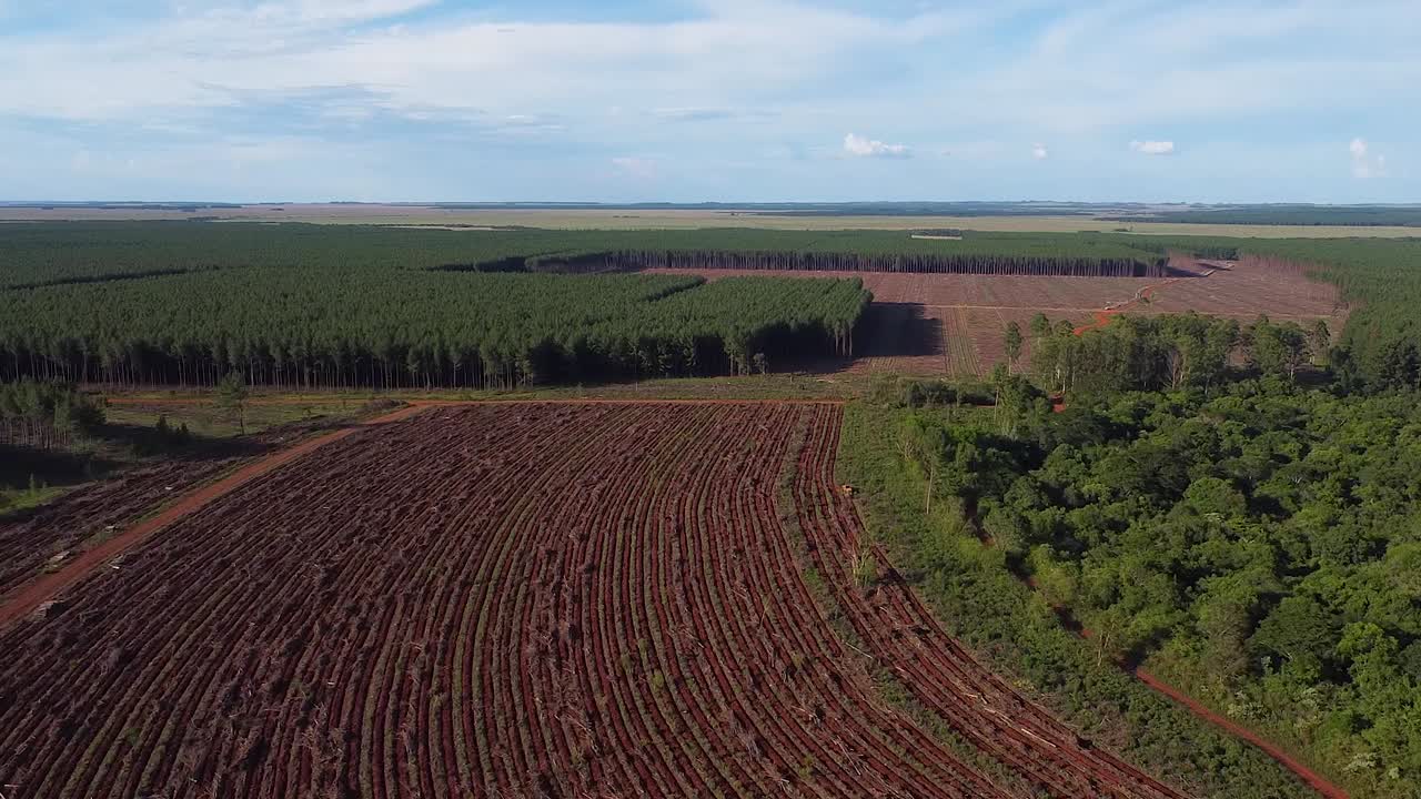 toma aérea de un drone de una tierra agrícola recién preparada entre un bosque en posadas de misiones argentina
