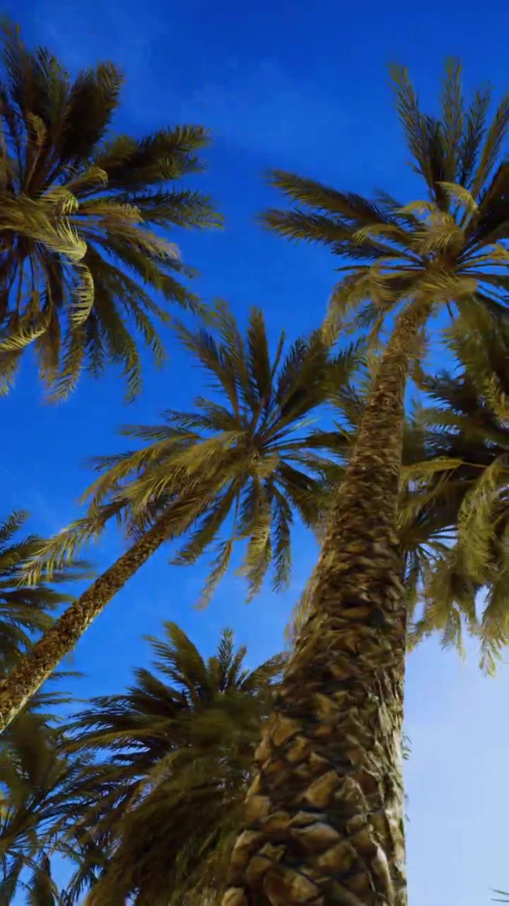Palm trees stand tall under clear blue sky in a sunny location