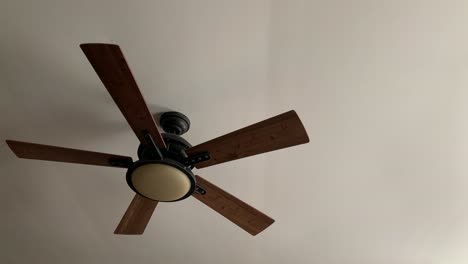 brown ceiling fan not spinning