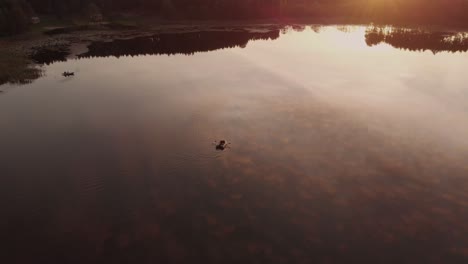 bote de vela en un agua serena de un lago cerca del pueblo en rogowko, polonia hasta la puesta del sol