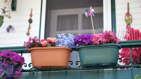 colorful flower pots on a balcony