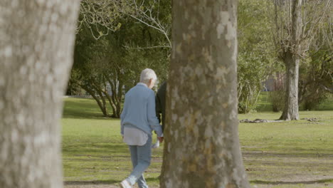 Senior-Couple-Holding-Hands-And-Walking-In-Park-On-Sunny-Autumn-Day-1