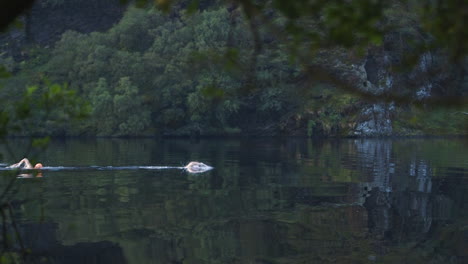 Swimming-in-a-beautiful-lake-on-a-sunny-day