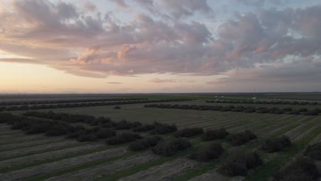 Graceful-drone-ascends-and-glides-over-a-Californian-agricultural-field-under-a-vivid-sunset,-casting-a-darkened-foreground-against-the-perfectly-exposed-sky