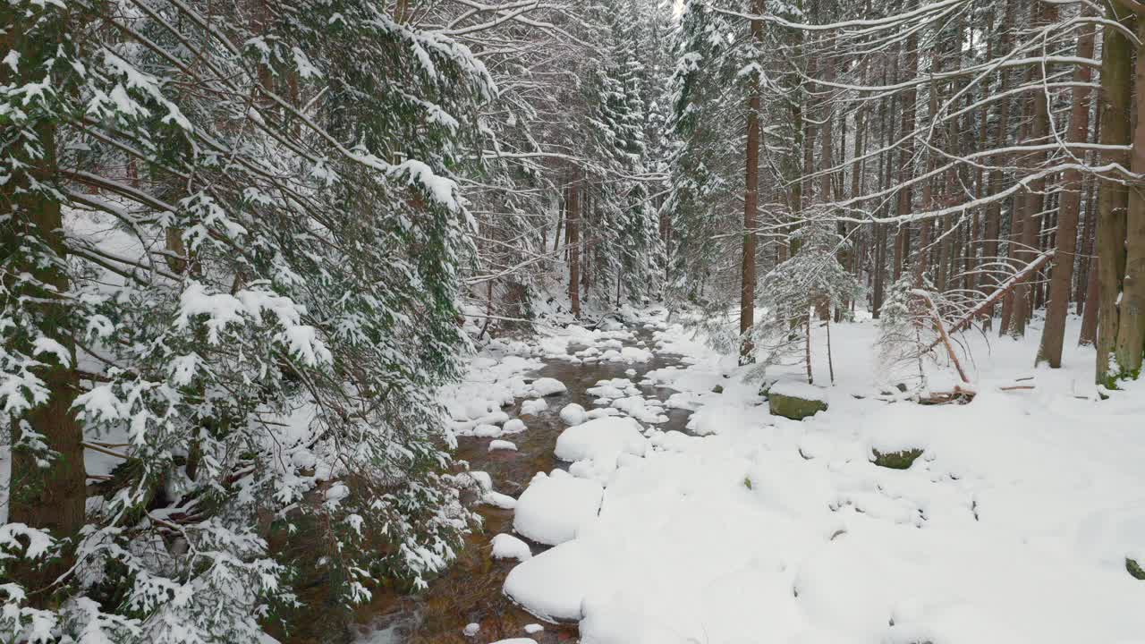 Snow covered woodland, tranquil winter scenery, gentle flowing stream
