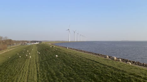 tranquil scene, flock of sheep on green grass field, riverside lake, windmill spinning in background