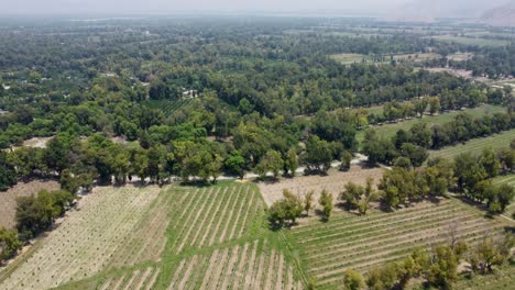 view of lush green landscapes from above