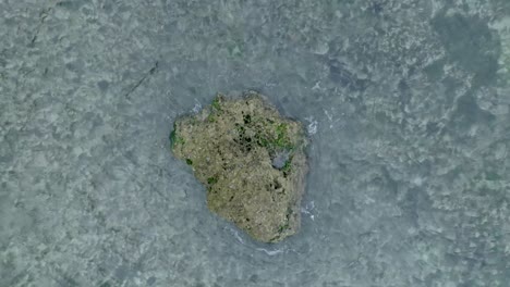 Top-Down-Slow-Motion-Drone-View-of-Waves-crashing-over-shallow-coral-reef-and-big-rock-in-Uluwatu-Bali-Indonesia