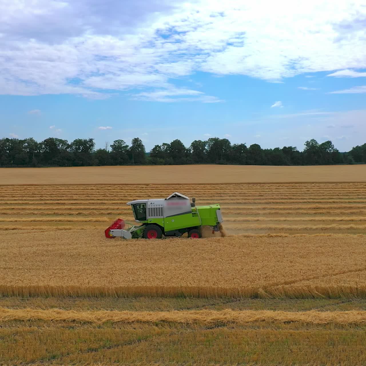 Green grain harvesting combine in a sunny day. Yellow field with grain. Agricultural technic works in field. Closeup