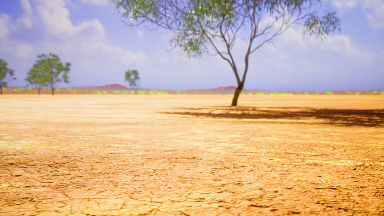Stunning landscapes capture the essence of arid beauty under a clear blue sky