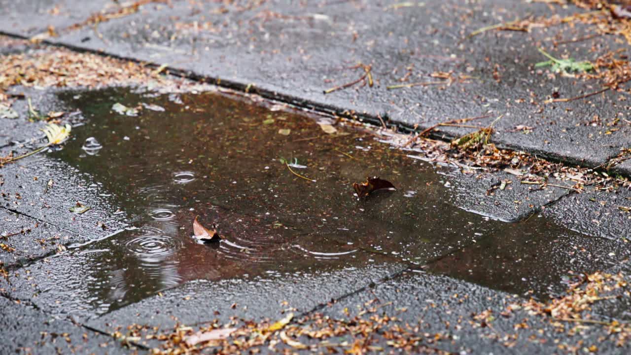 A new angle of raindrops hitting a stone-tiled puddle, creating expanding circles in slow motion after the afternoon shower.