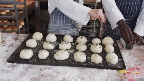 diverse bakers working in bakery kitchen, sprinkling poppy seeds on rolls in slow motion