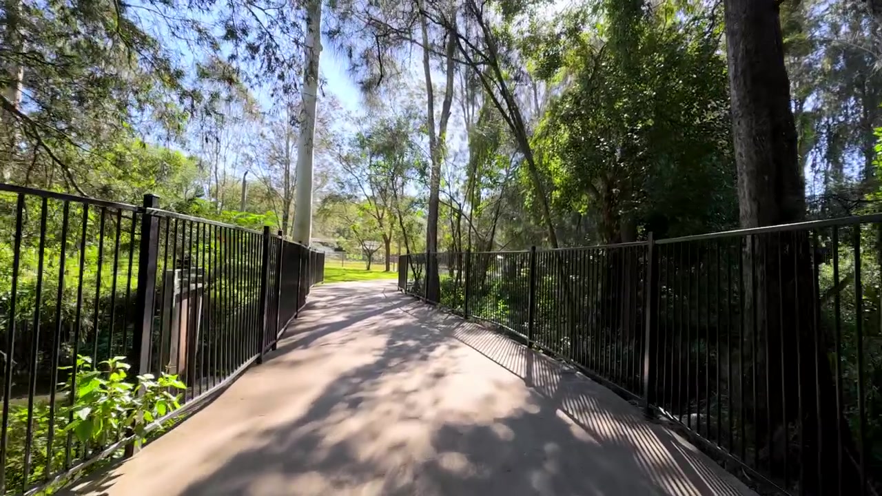 First-person perspective walking along a fenced concrete path through a sunny forest in Australia.