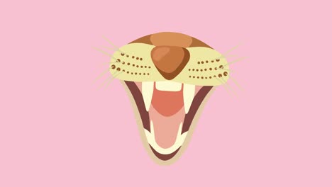 animación del hocico de un perro salvaje o un lobo con la boca abierta, sobre fondo rosa