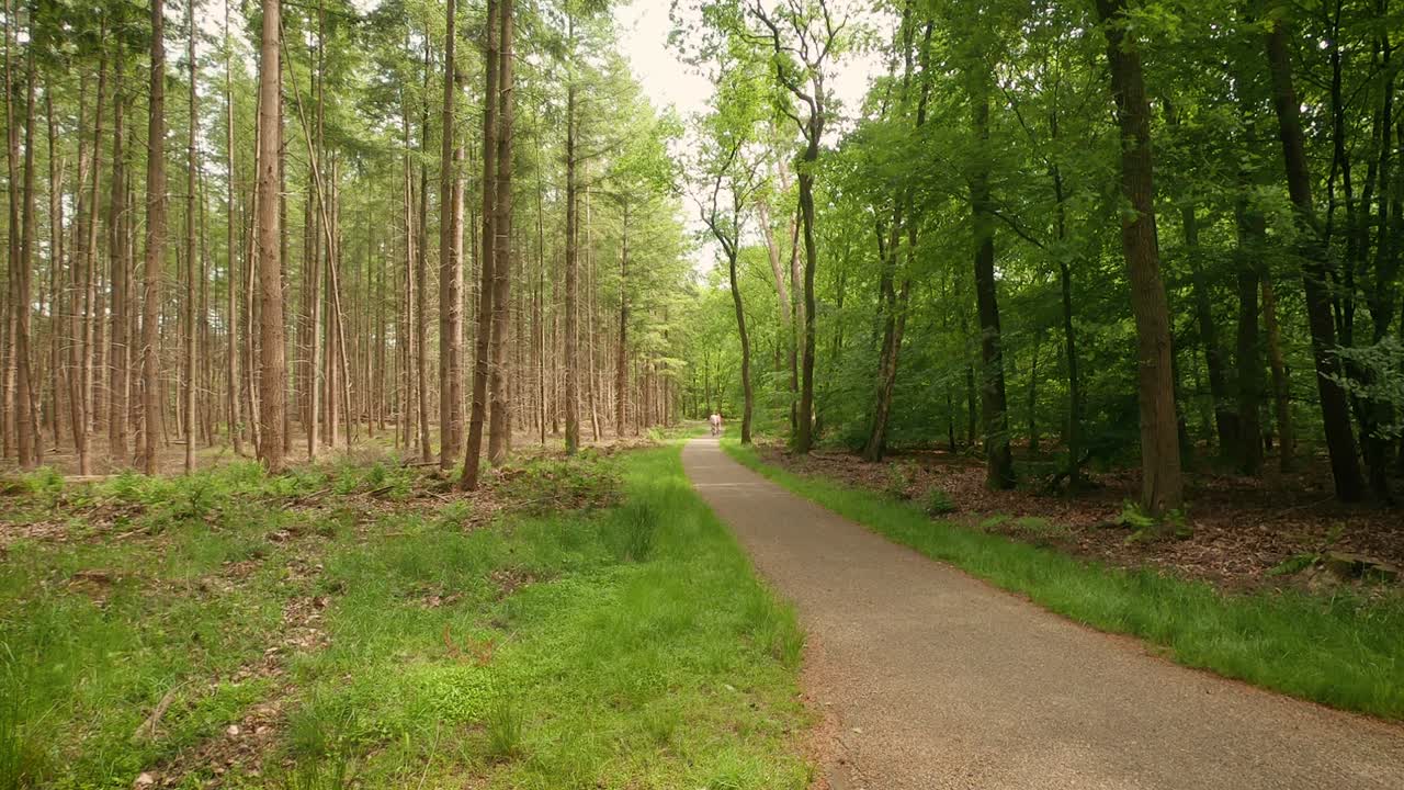 숲 속의 자전거 길과 그 길을 따라 달리는 자전거 타는 사람들