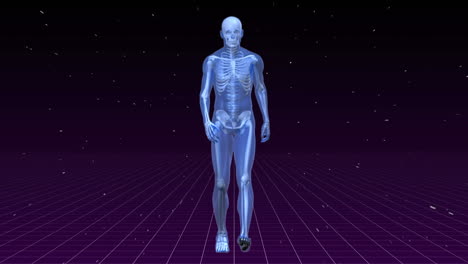 animation of man prototype