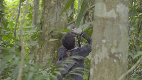 fotógrafo profesional de vida silvestre mirando pájaro con binoculares