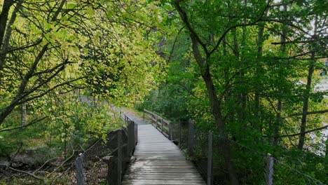 Beautiful-view-of-a-wooden-bridge-surrounded-yellow-autumn-trees