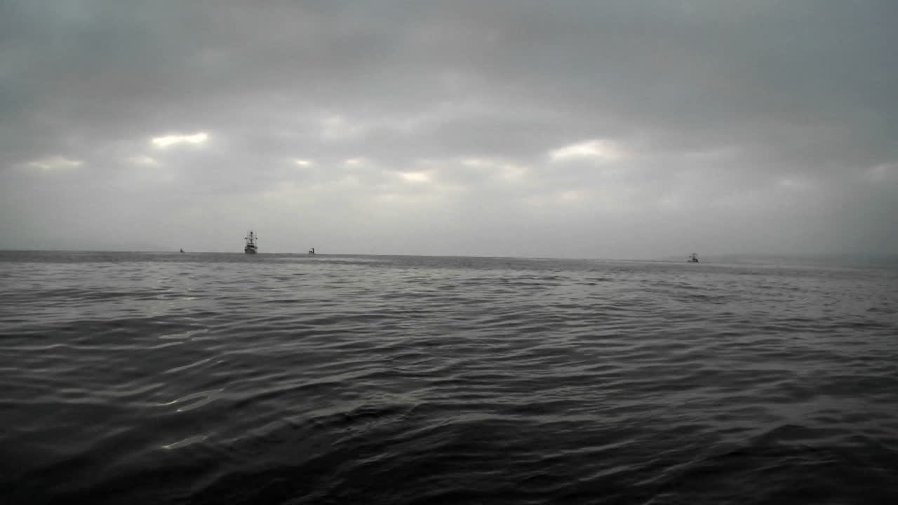 여러 어선이 열린 바다에서 항해