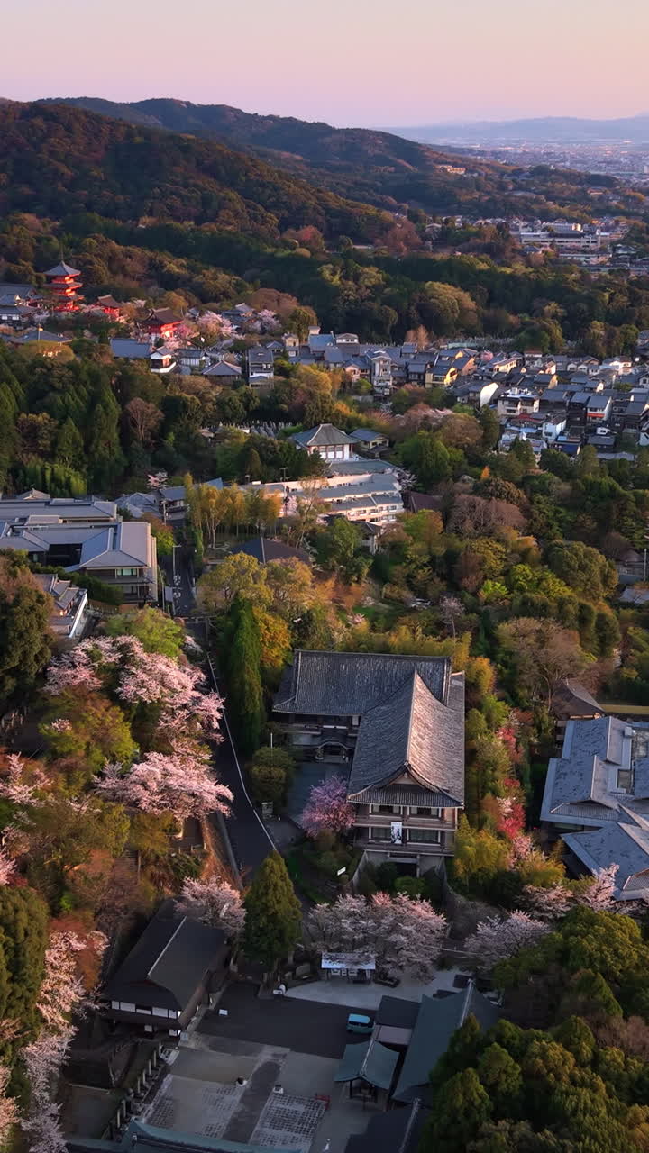Aerial drone view of a temple surrounded by cherry blossom at sunset in Kyoto, Japan