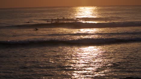 a group of surfers choosing waves at sunset - slomo