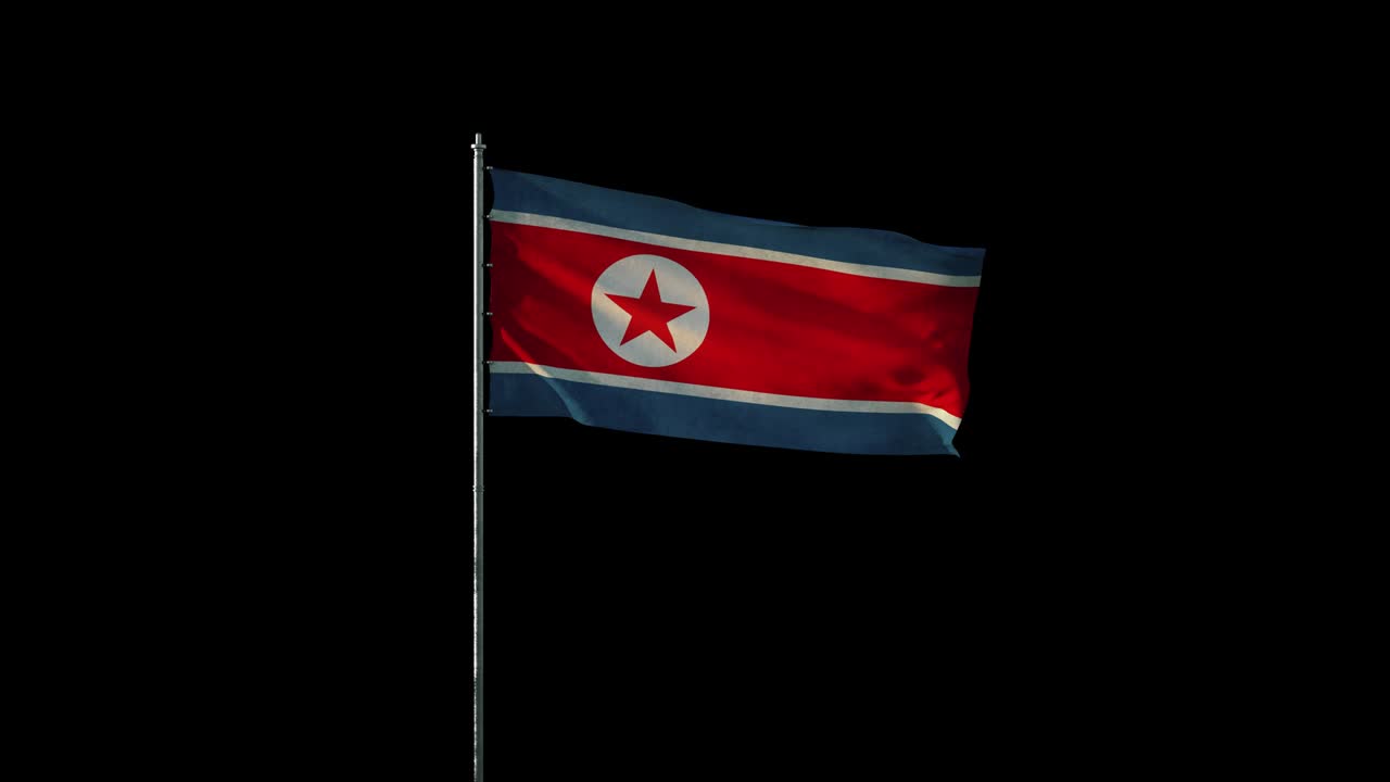 바람에 흔들리는 발 기둥에 북한의 발, 검은색 원활한 루프에 현실적인 3d 애니메이션, 20 초 길이 (알파 채널 포함)