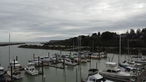 lines of boats parked in marina