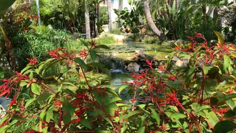 wonderful and authentic little forrest and waterfall view