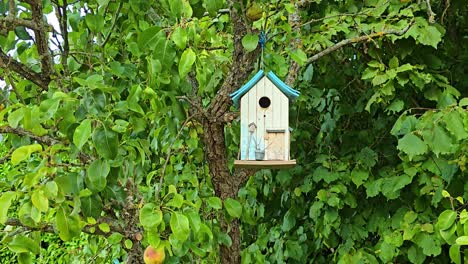 wide shot of a wooden birdhouse with a roof, hanging in a tree and moving with the wind among green leaves