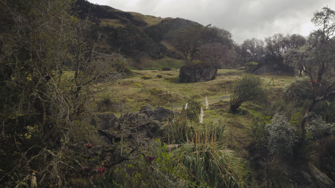 Aerial shot, El Cajas National Park, Cuenca, Ecuador.