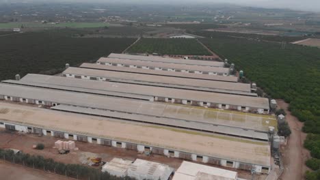 aerial view of large livestock farm in daytime
