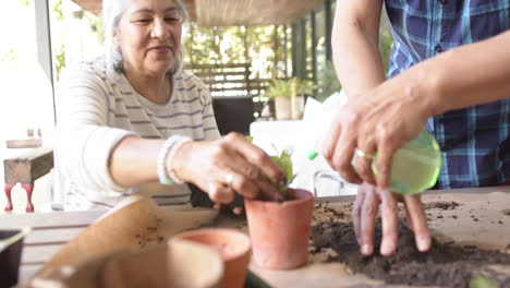 Feliz-Y-Diversa-Pareja-De-Ancianos-Sentada-A-La-Mesa-Y-Plantando-Plantas-En-Macetas-En-El-Porche